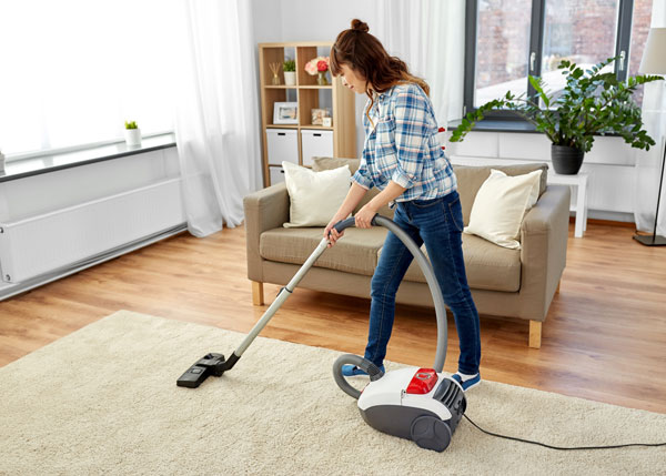 Sebo vacuums vs Miele Vacuums