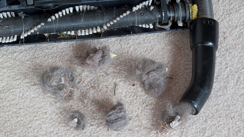 clogged vacuum debris